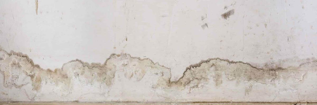 Top 4 Causes of Damp Problems in a House