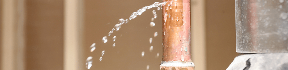 Leaking Water Pipe Causing Mold